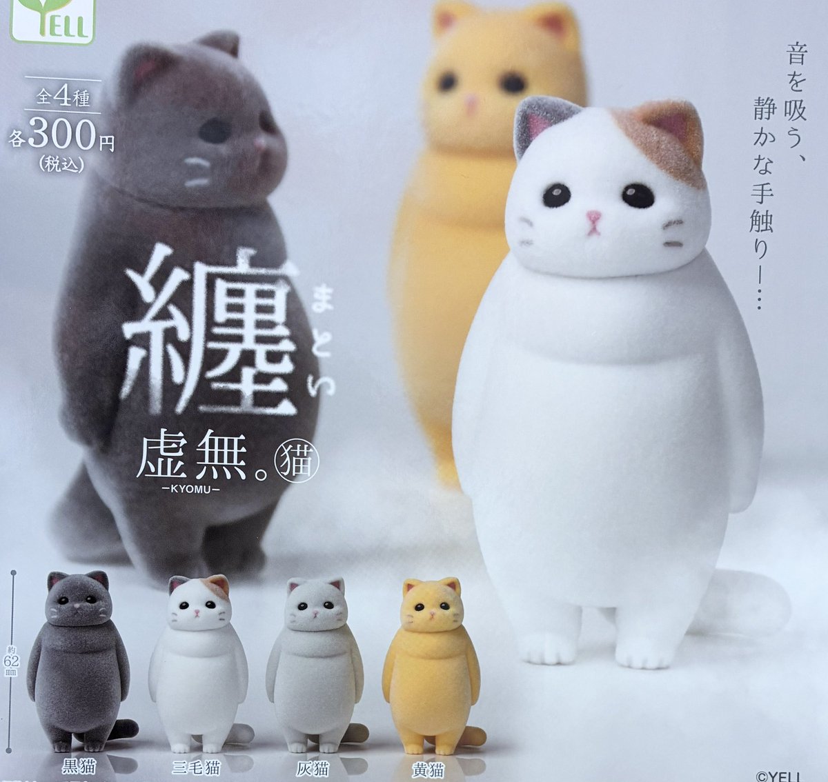 🌈 7月26日(日)新入荷情報🌈 ▫️虚無｡ 猫 纏 #イオンモール浜松市野