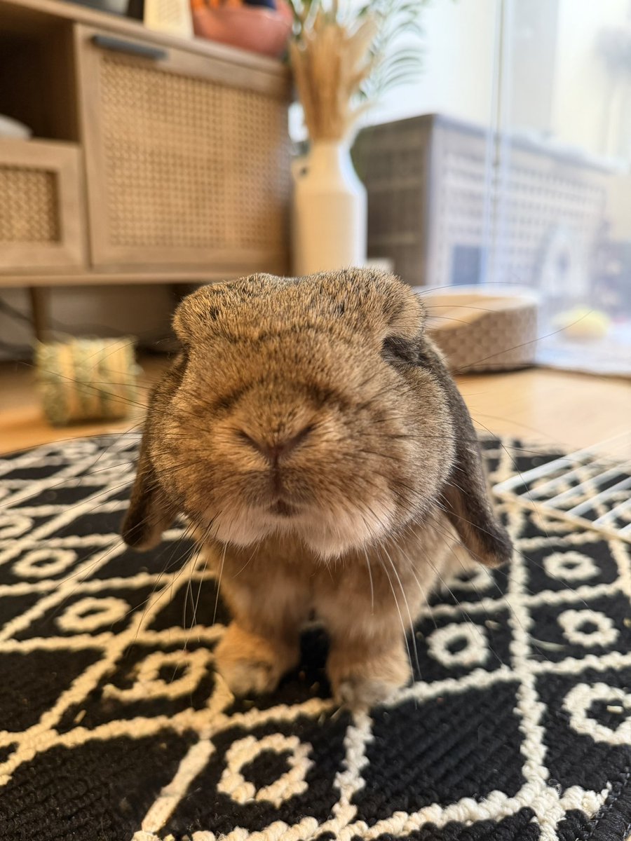 sugarkait's tweet photo. <3 https://t.co/xLusIoTU1j