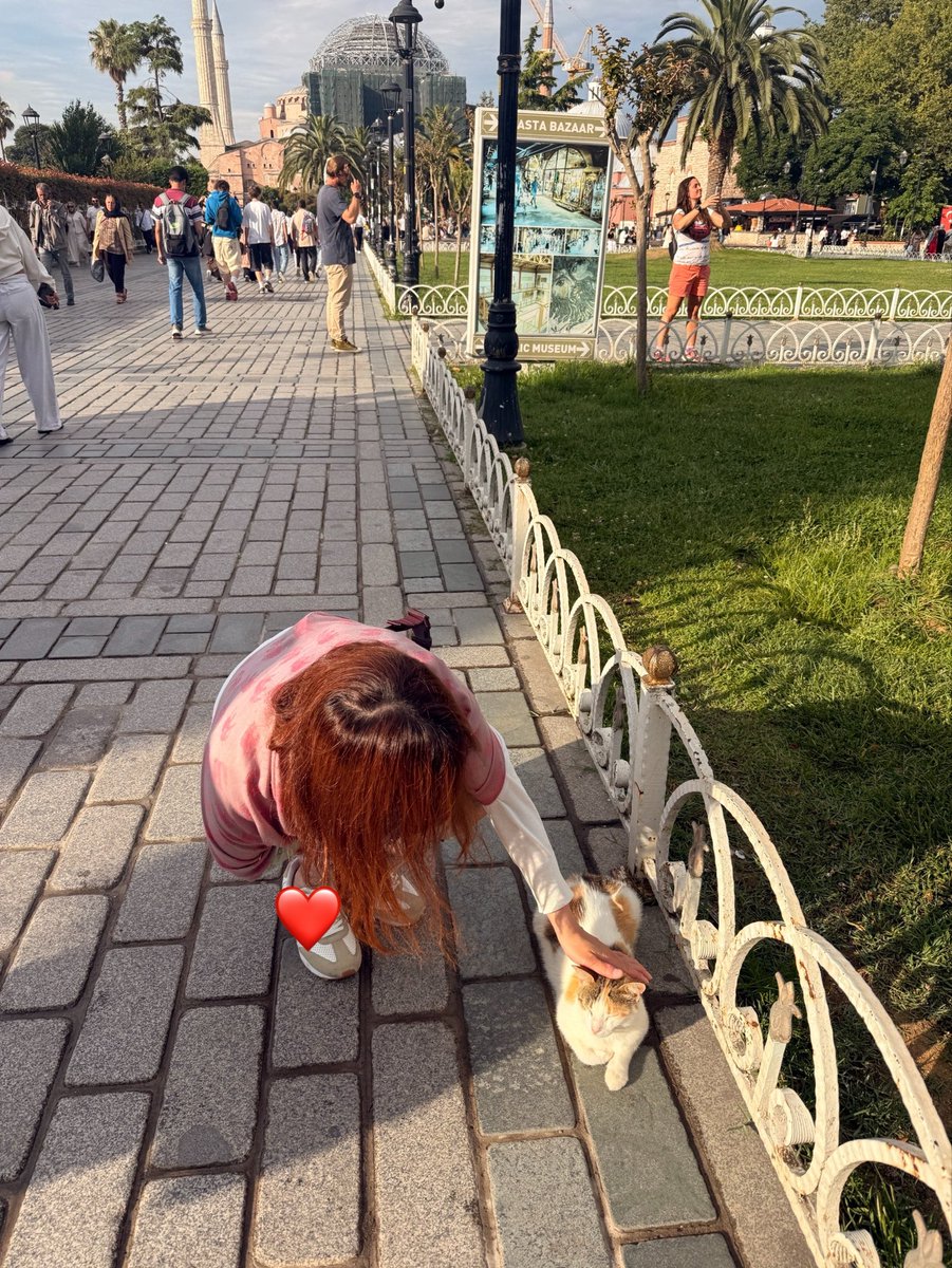 KyleeToyod97278's tweet photo. First time trip to Istanbul 🇹🇷

I fell in love with this city…❤️✨
I’d love to visit there again and again.

I’m coming back to Kawasaki from tomorrow. I’ll do my best🫰
Hope to see you soon🫶 https://t.co/OQ8DIt4edg
