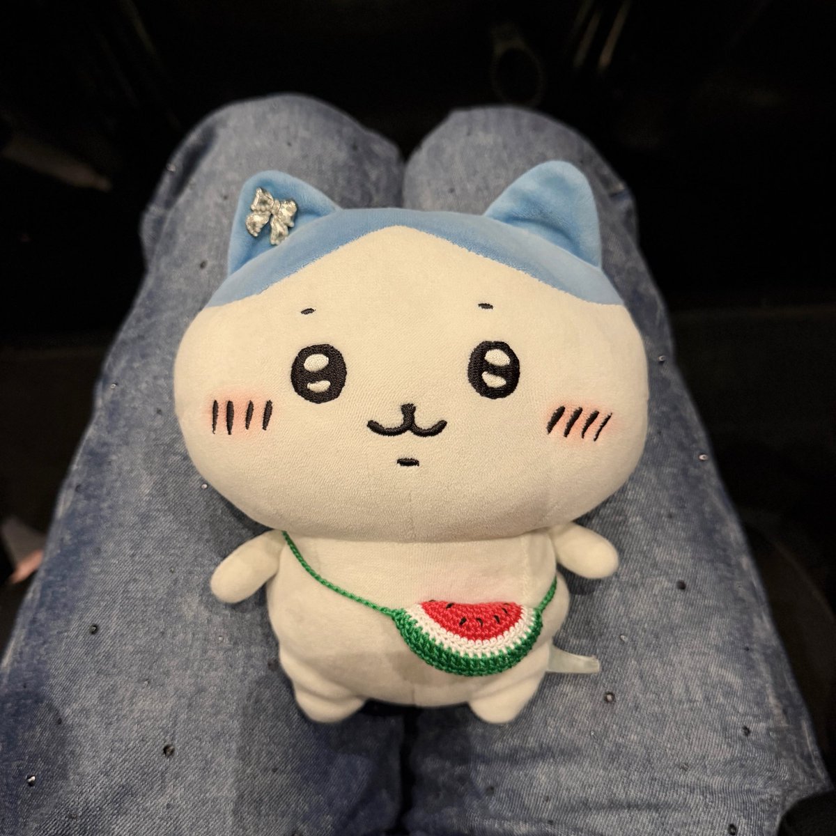 hachikawa7's tweet photo. #映画ちいかわ       
歌もセイレーンの声もハチワレの危機管理能力の無さも全てにおいて素晴らしかった😭💯✨
余韻が抜けない…な！ https://t.co/f32xKrxi71