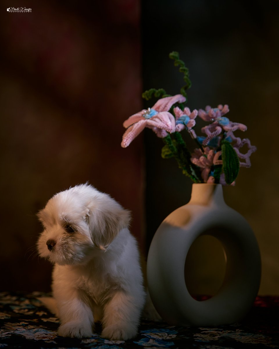 lil_yangz's tweet photo. PORTRAIT 

#Art #portraits #gallery https://t.co/IekAwtGE90