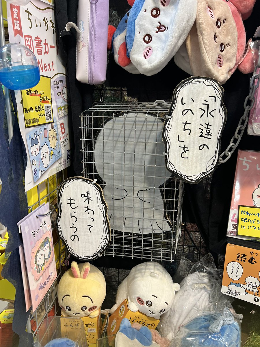 名探偵 Bit太郎にゃん tweet media