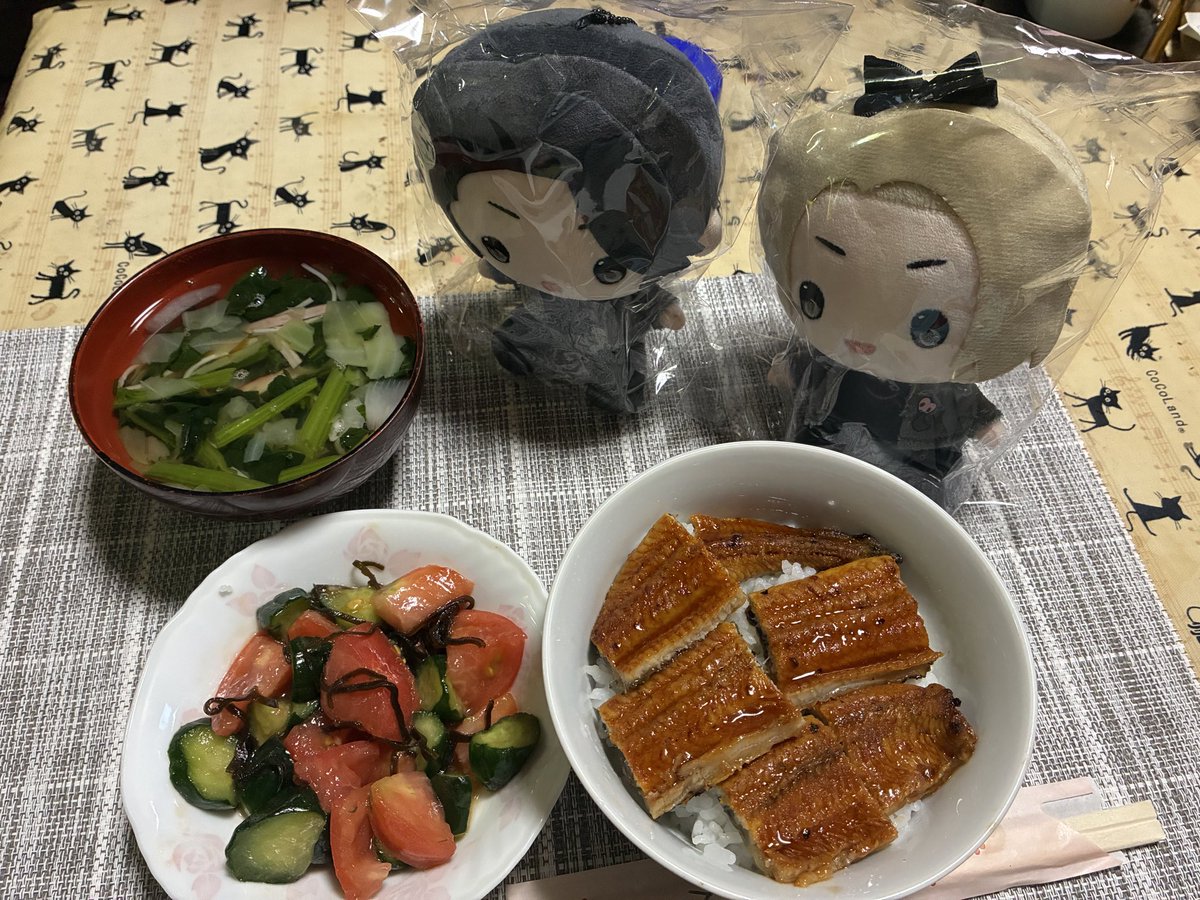 mackey_mm's tweet photo. 土用の丑の日～
毎年安い中国産で済ませてたけどスーパーで値引きになってたから今年は国産鰻🤗
松戸へ思いを飛ばしながら隆ちゃん真ちゃんと一緒に食しました😋

（ぬいとお食事画像、やってみたかったw） https://t.co/uRbpnFuPUH