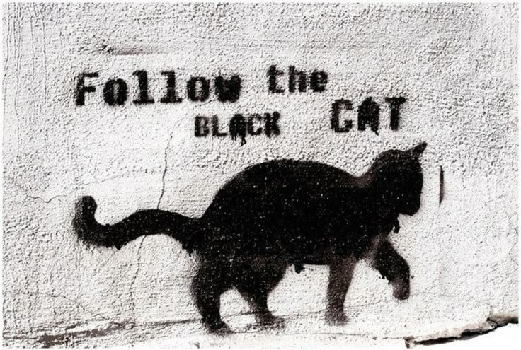 🖤 tweet media