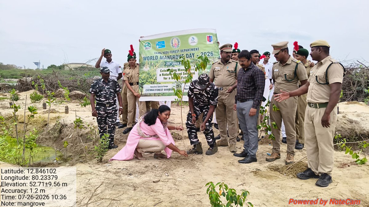 DirectorMission's tweet photo. World Mangrove Conservation Day was celebrated on 26 July 2026 at Buckingham Canal, Navalur, by Chennai Forest Division with NCC students of AMET College. Mangrove seedlings were planted to promote mangrove conservation.
#GreenTamilNaduMission #Mangroves #ClimateAction #TamilNadu https://t.co/Szb9Zp21CI