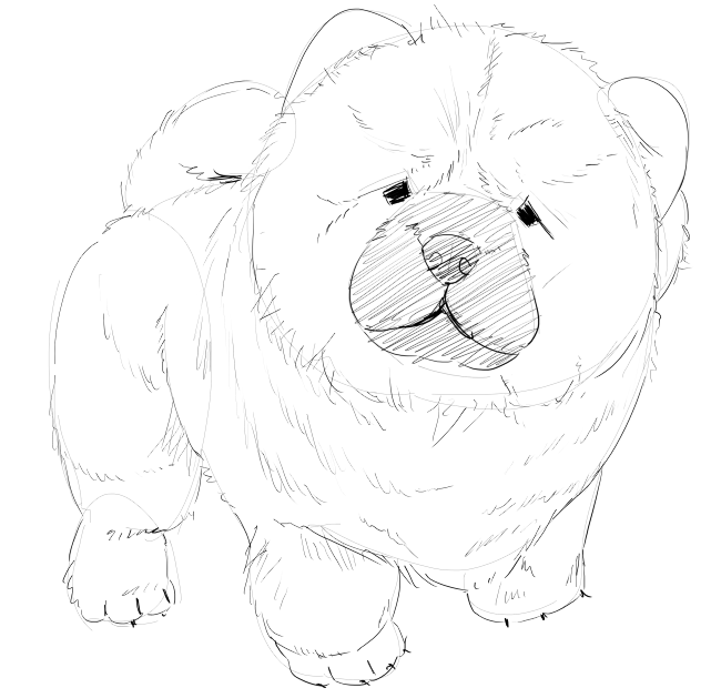 illustalk_univ's tweet photo. チャウチャウってめっちゃ可愛いんですよ https://t.co/nfmFziwIZy
