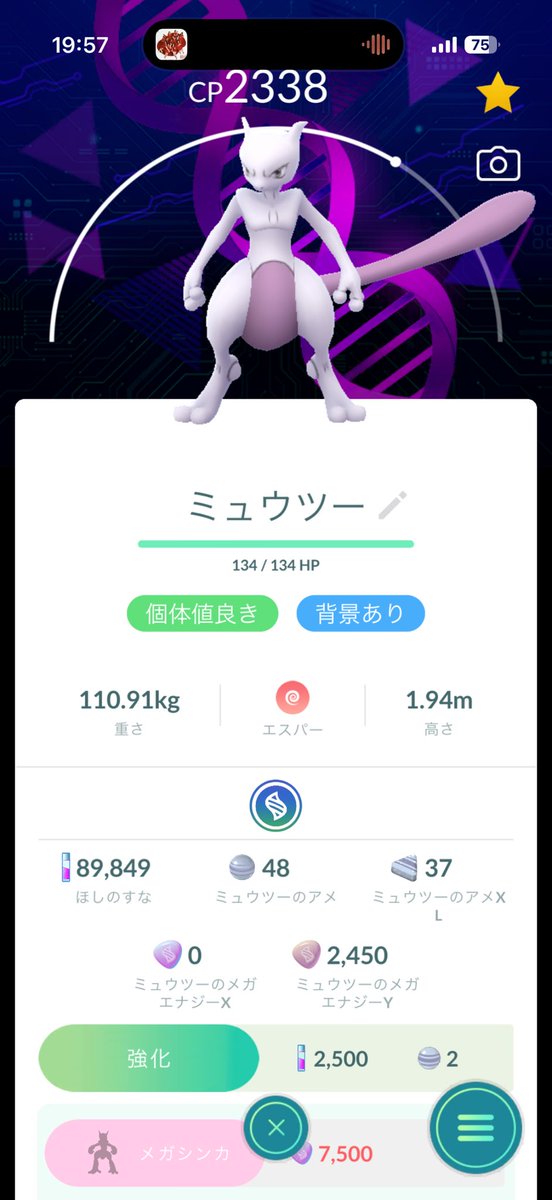 猫の爪 tweet media