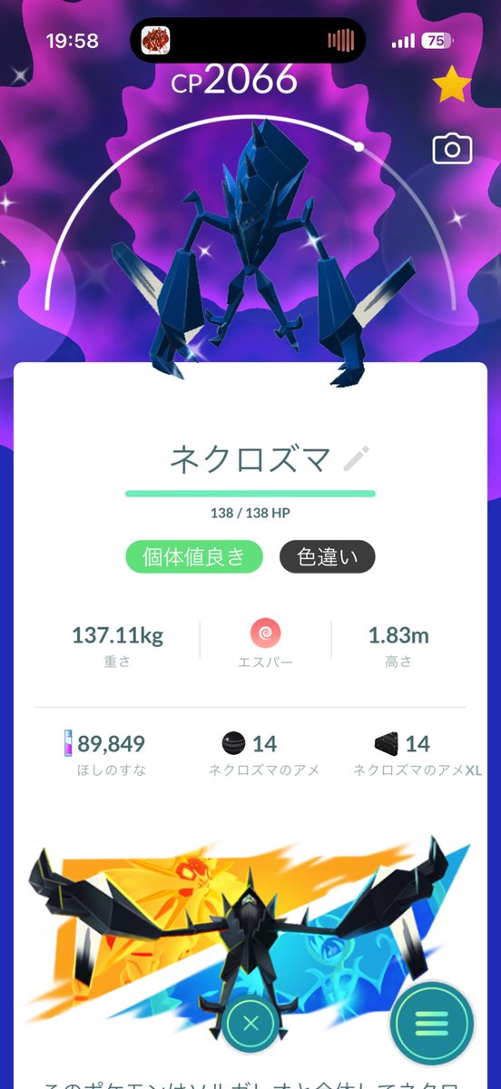 猫の爪 tweet media