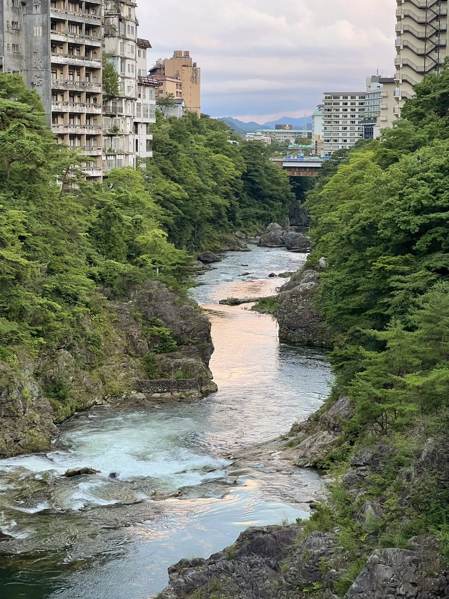 re_na031's tweet photo. 💫🌳 https://t.co/BZDxOWgTcB