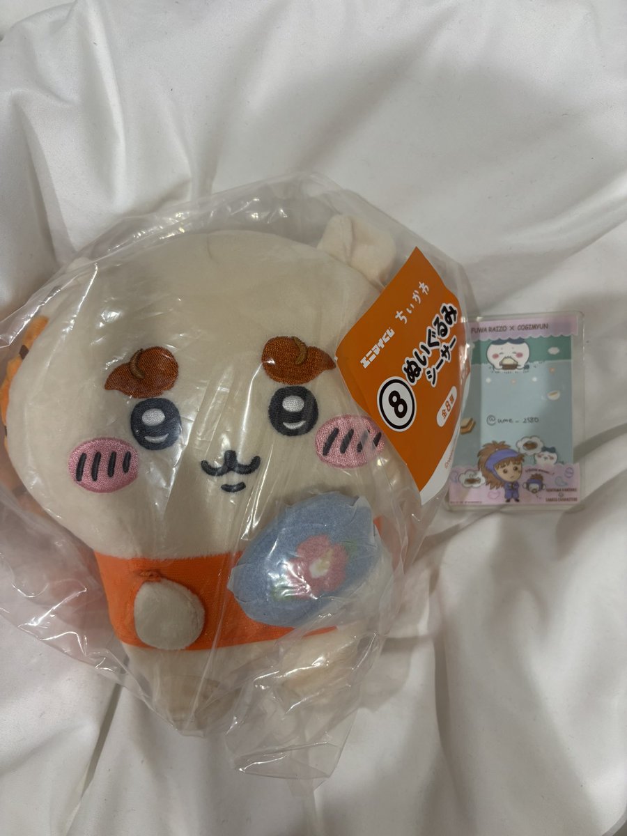 ume_2580's tweet photo. エニマイくじちいかわ交換

【譲】ぬいぐるみ8シーサー
【求】ぬいぐるみ2ちいかわ

横浜駅手渡し>都内手渡し(渋谷付近)
検索からお気軽にお声掛けください https://t.co/gCuSM8NyPT