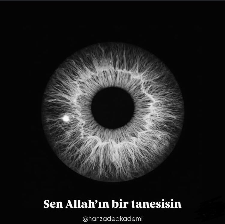 Hânzâde Akademi tweet media