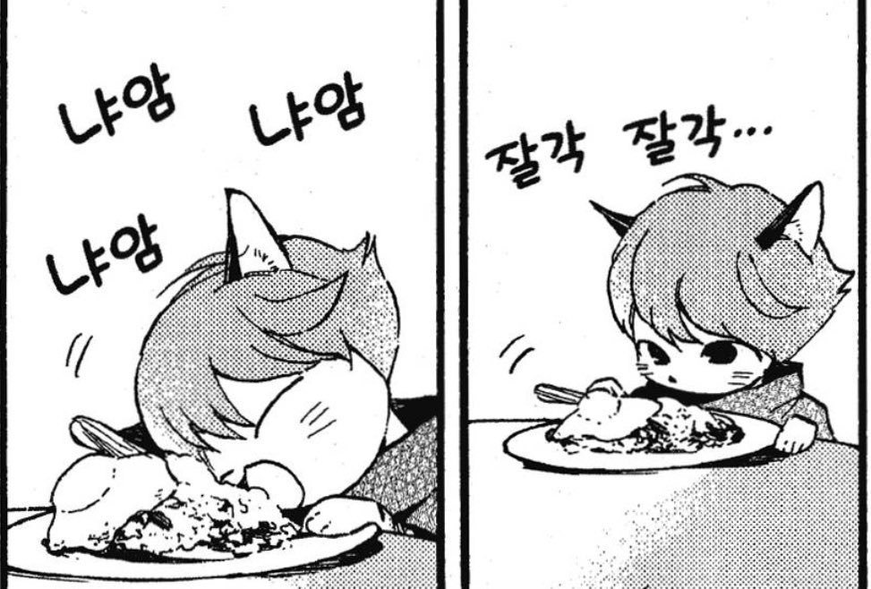 김창식 tweet media