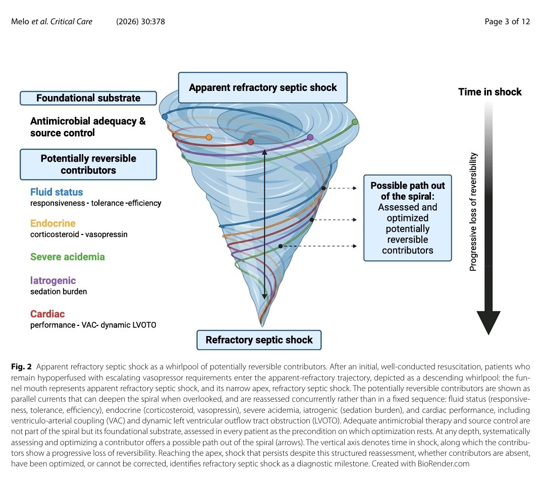 drmohansai's tweet photo. The usual suspects: a pragmatic framework to identify and address reversible contributors in apparent refractory septic shock
https://t.co/FRTCxcOlYF 
@khannaAshishCCM
@edu_kattan https://t.co/rcZIe4IflV