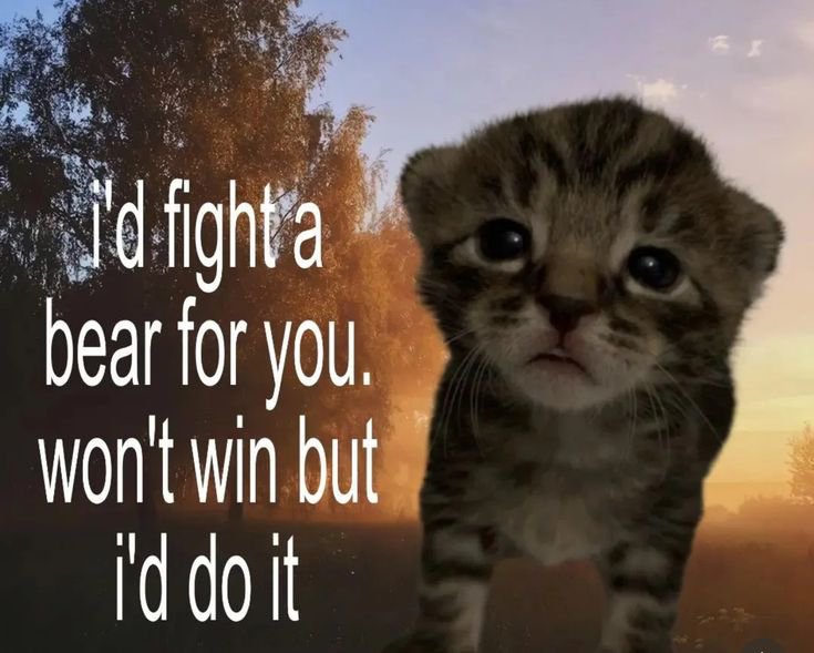 CKSSEUW's tweet photo. Are you willing to fight a bear for someone? https://t.co/S59dvYi9Nf