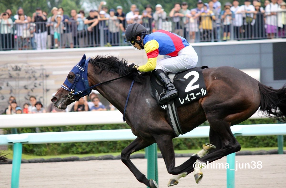 shima_jun38's tweet photo. 7/26 札幌競馬場10R 
レイユール 長浜鴻緒騎手
2着悔しかった〜！！でも嬉しかった！ https://t.co/MGyAQRsekZ