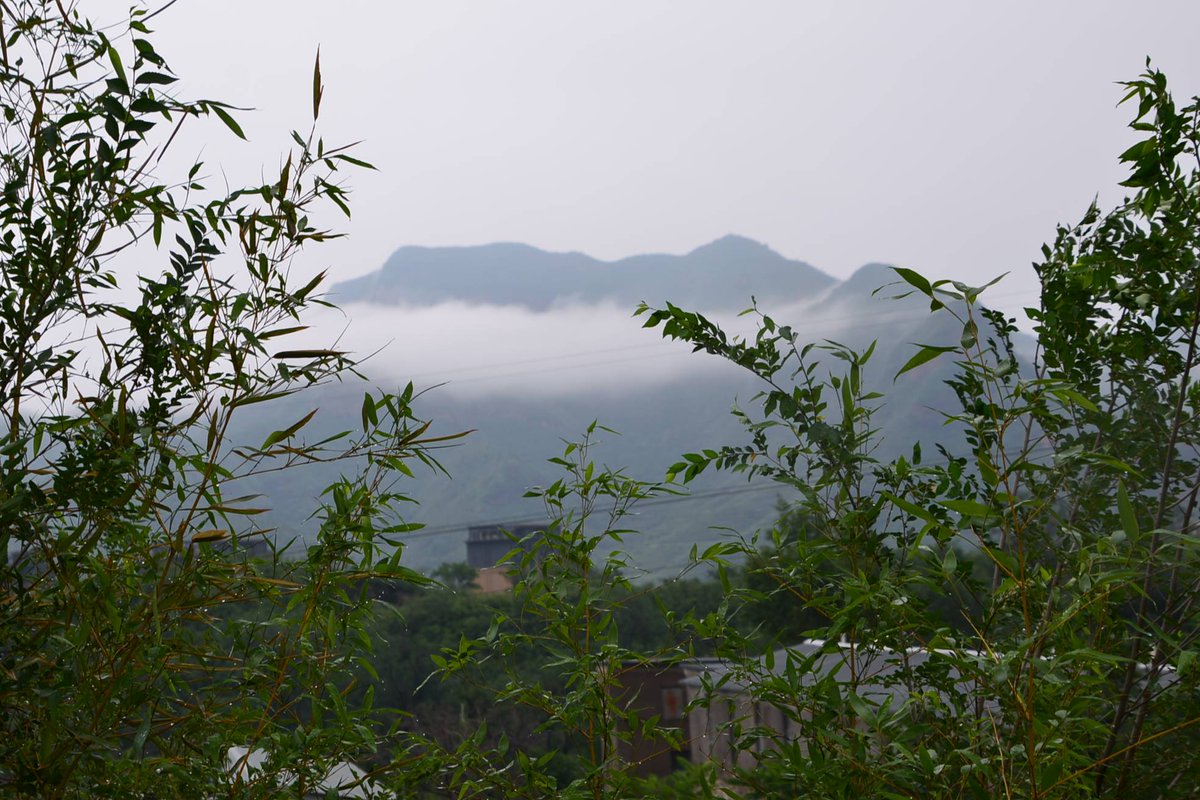 DylanCador9nsn's tweet photo. 今天解锁城市近郊徒步路线，沿途有漫山小雏菊，风里都是青草香～ https://t.co/8ruEWkLgNZ