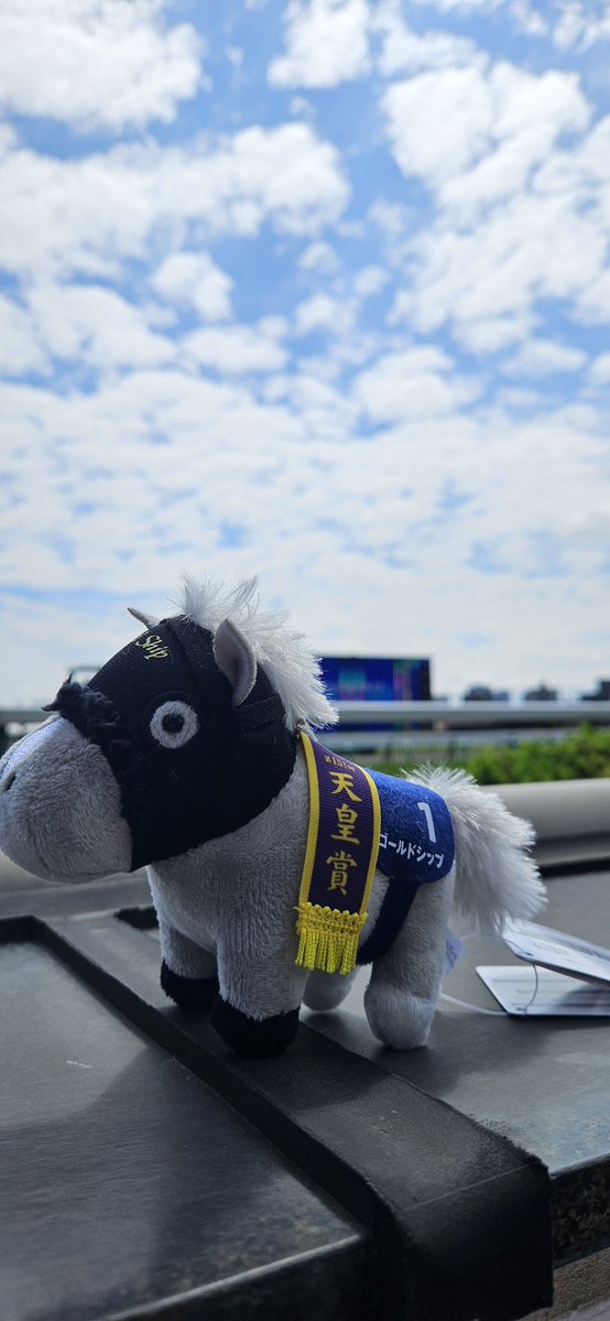 Barrel_plusOne's tweet photo. 本日は札幌競馬場に初めて行ってきましたー！
メイショウタバルのぬいぐるみは朝早くに完売しゲットできず🥲
カフェバーゴールドシップにも立ち寄れたのと、朝イチからお昼まで楽しんできましたっ。
誘導馬もめちゃんこ可愛かった…！！ https://t.co/SGfbfyCsU1
