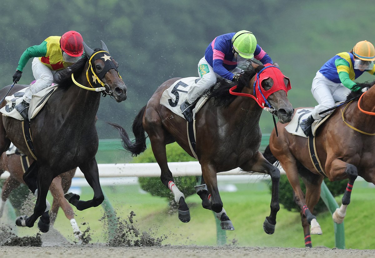 iwatekeiba's tweet photo. ✨㊗阿部英俊騎手㊗✨
💐地方競馬通算２１００勝達成💐

7/26(日)、第５回盛岡競馬第１日第１０競走で
阿部英俊騎手騎乗のロベルタカリーナ号が見事勝利👑

阿部英俊騎手は、
地方競馬通算２１００勝を達成しました💐👏

おめでとうございます✨✨✨✨✨

#阿部英俊騎手　#ロベルタカリーナ https://t.co/KNnHtQmoDU