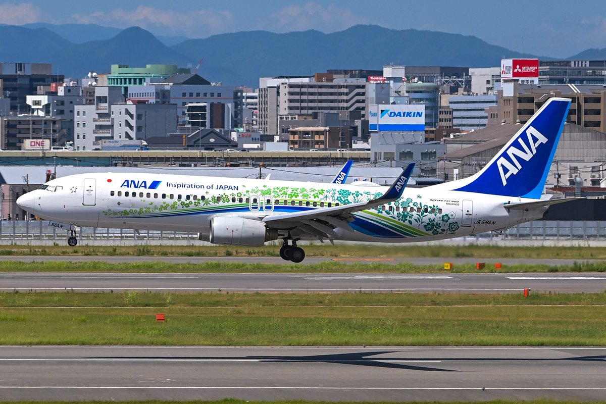 Chi_FUK77W's tweet photo. 2026/7/23 RJFF/FUK JA58AN
タキシングはローアングルで📸
#福岡空港　#ANA #ふるさとジェット https://t.co/jbJRxd0pO1