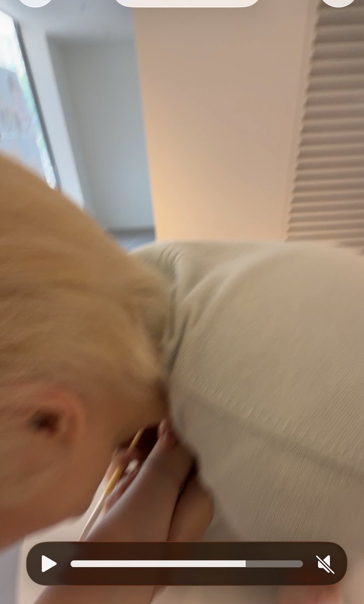 6ftkf's tweet photo. 저기요     좀   놔주세요 https://t.co/r2Ru247gFU