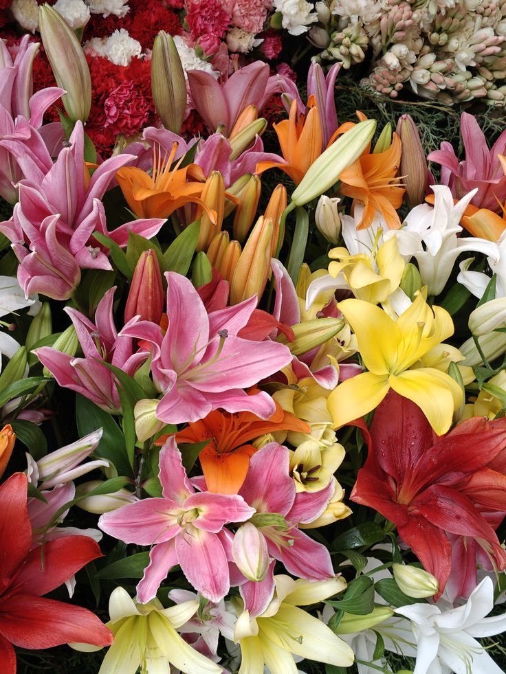 Elisalobito's tweet photo. Life feels a little softer with fresh flowers around. 🌼🤍
#Flowers #Nature #Bloom #Spring https://t.co/54bJNdfWhp