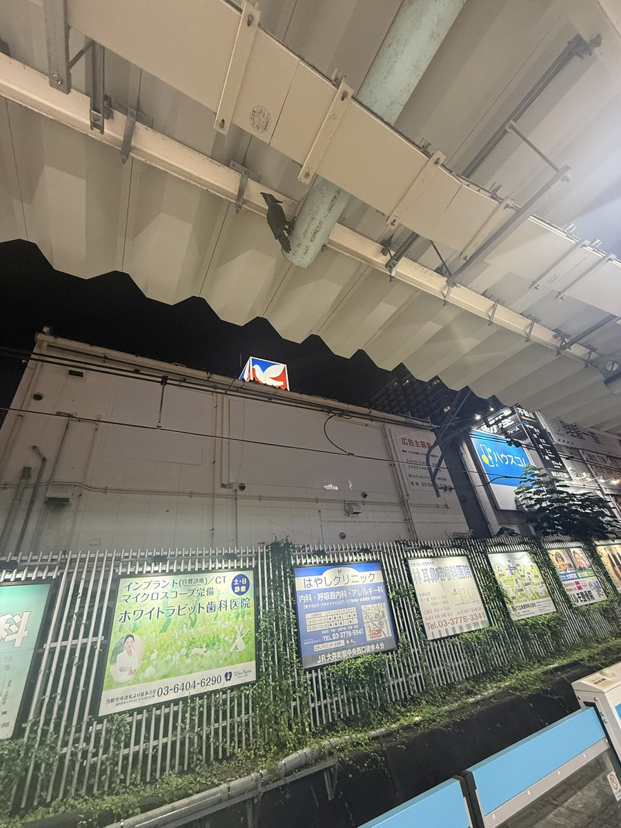 kyoryante's tweet photo. 大井町駅のホームでジュース飲もうと上向いたらキツツキ？のオブジェあってびっくりした
なんで？ https://t.co/lbb0Aen8jN