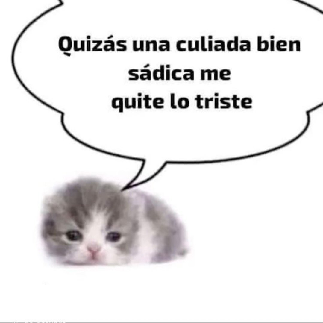 soffiigz's tweet photo. quizás https://t.co/tsxO130HZY