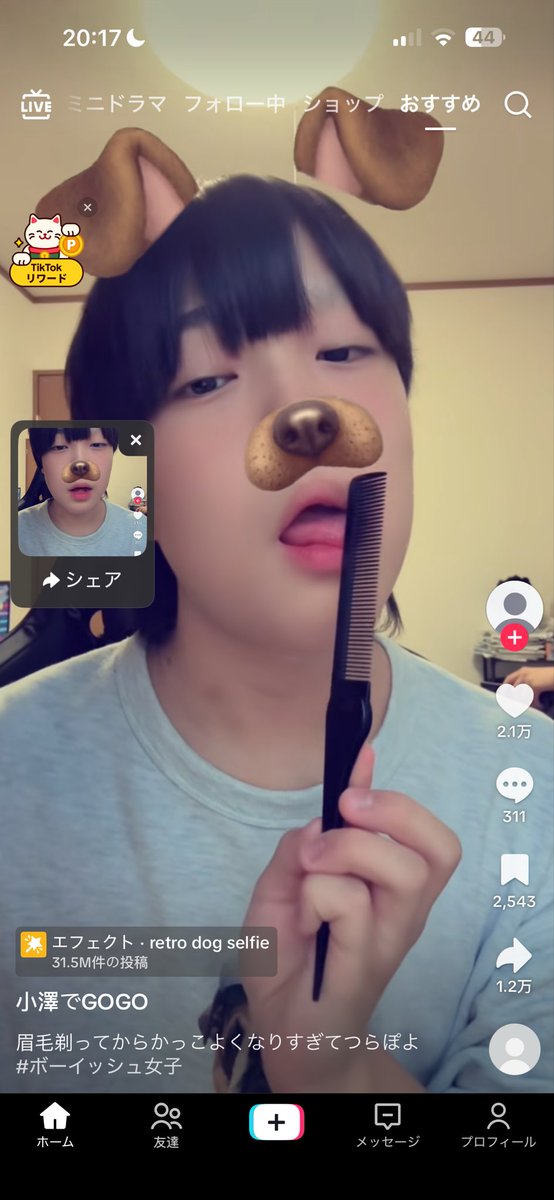晩安 tweet media