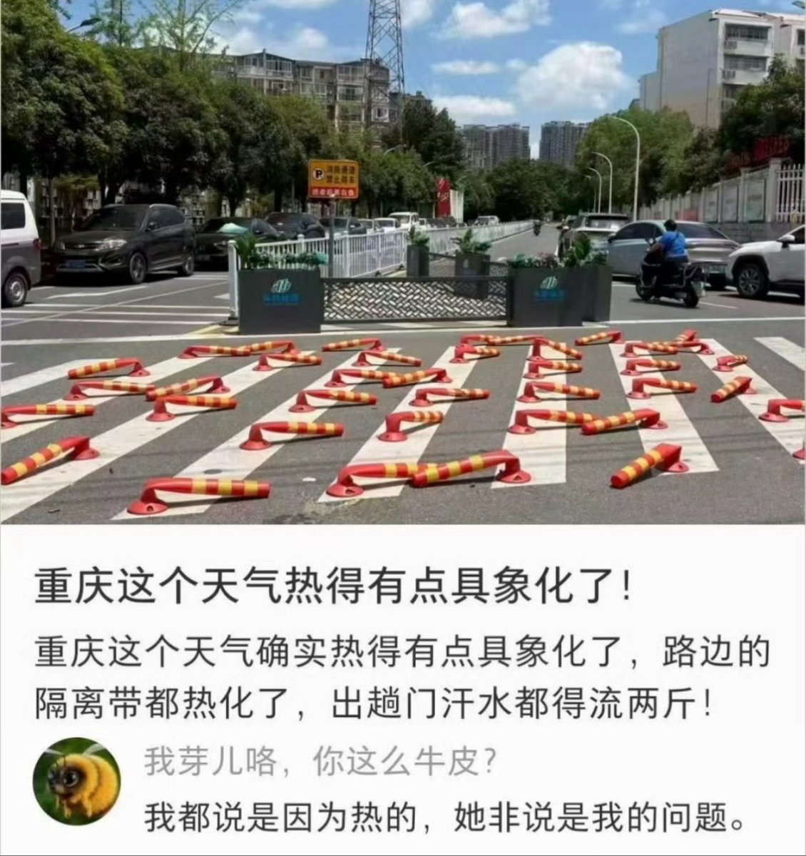 夜之城鼠鼠 tweet media