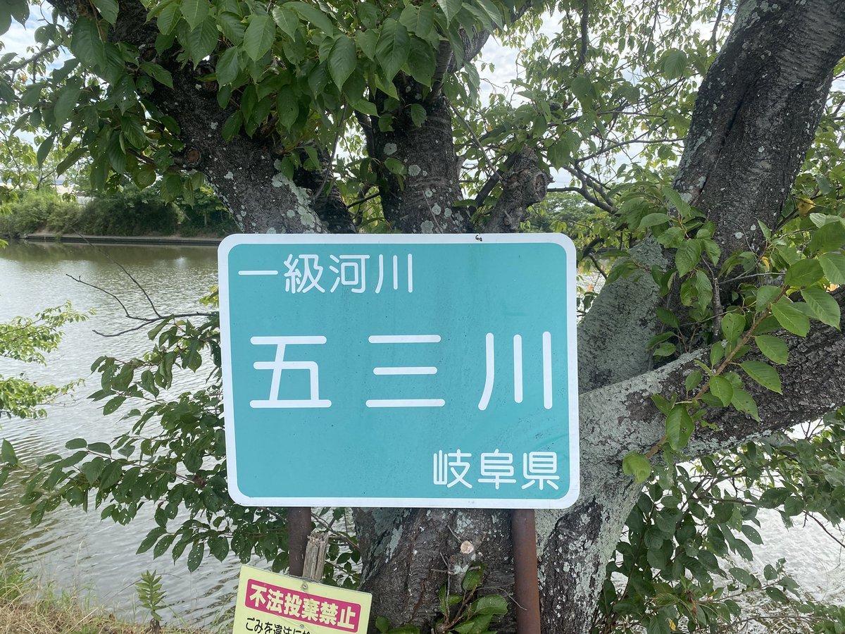 フェンタニルケンヂ tweet media