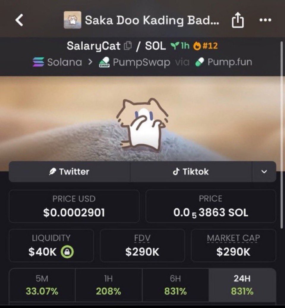 AlphaPulsevw's tweet photo. 🚀 $SALARYCAT
$4K → $290K 📈🔥

Catch them early. VIP TG 👀

CA: BwMGuEjN6uNZN34JoPT3REjFgE6uvAFaJgHdcNT1pump

#Solana #Memecoin #1000x https://t.co/ARLolpTm3c