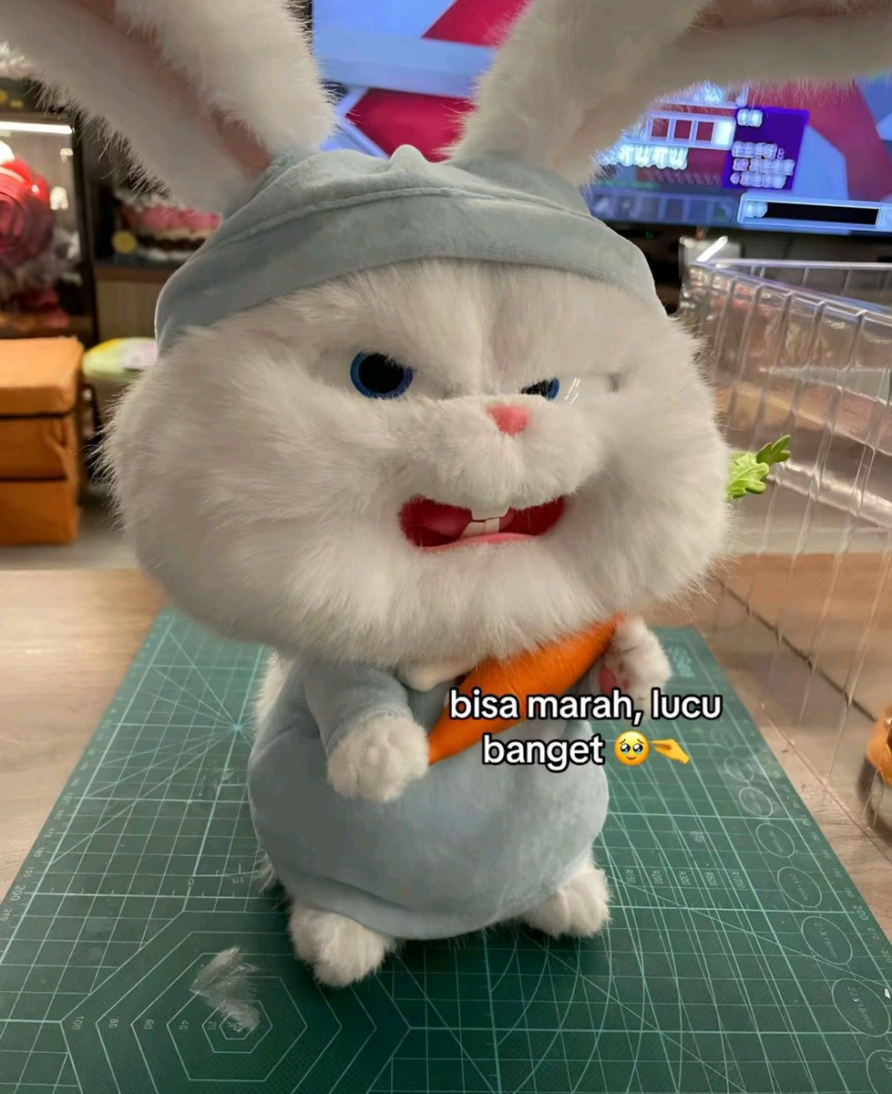 aquadreamt's tweet photo. Ini boneka rabbit snowball lucu banget😭😣 https://t.co/ovsOPBOjNi