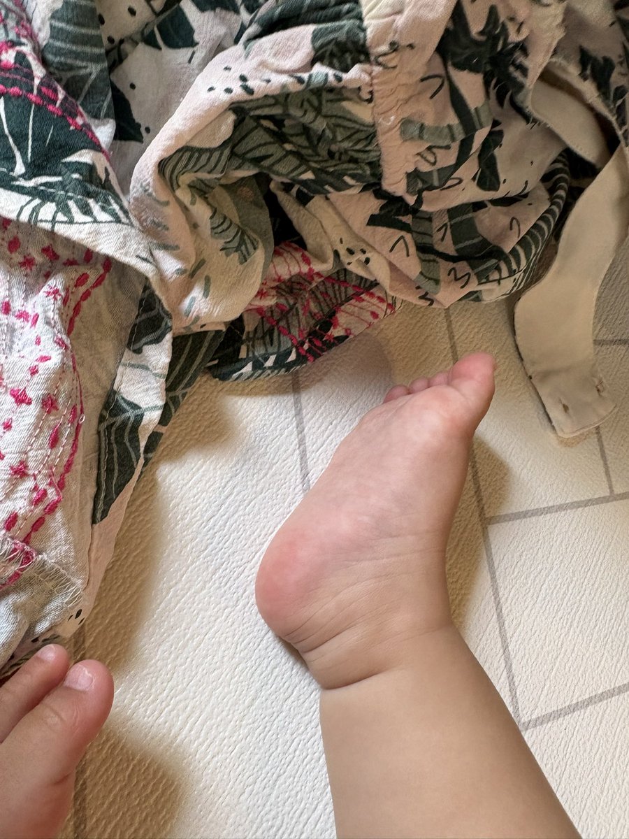 mamaru112's tweet photo. 突然カメラロールに現れるこんな写真に1番幸せを感じる( ⸝⸝⸝¯  ¯⸝⸝⸝ )もう撮れるんだねえ https://t.co/W2mwsGtpfv