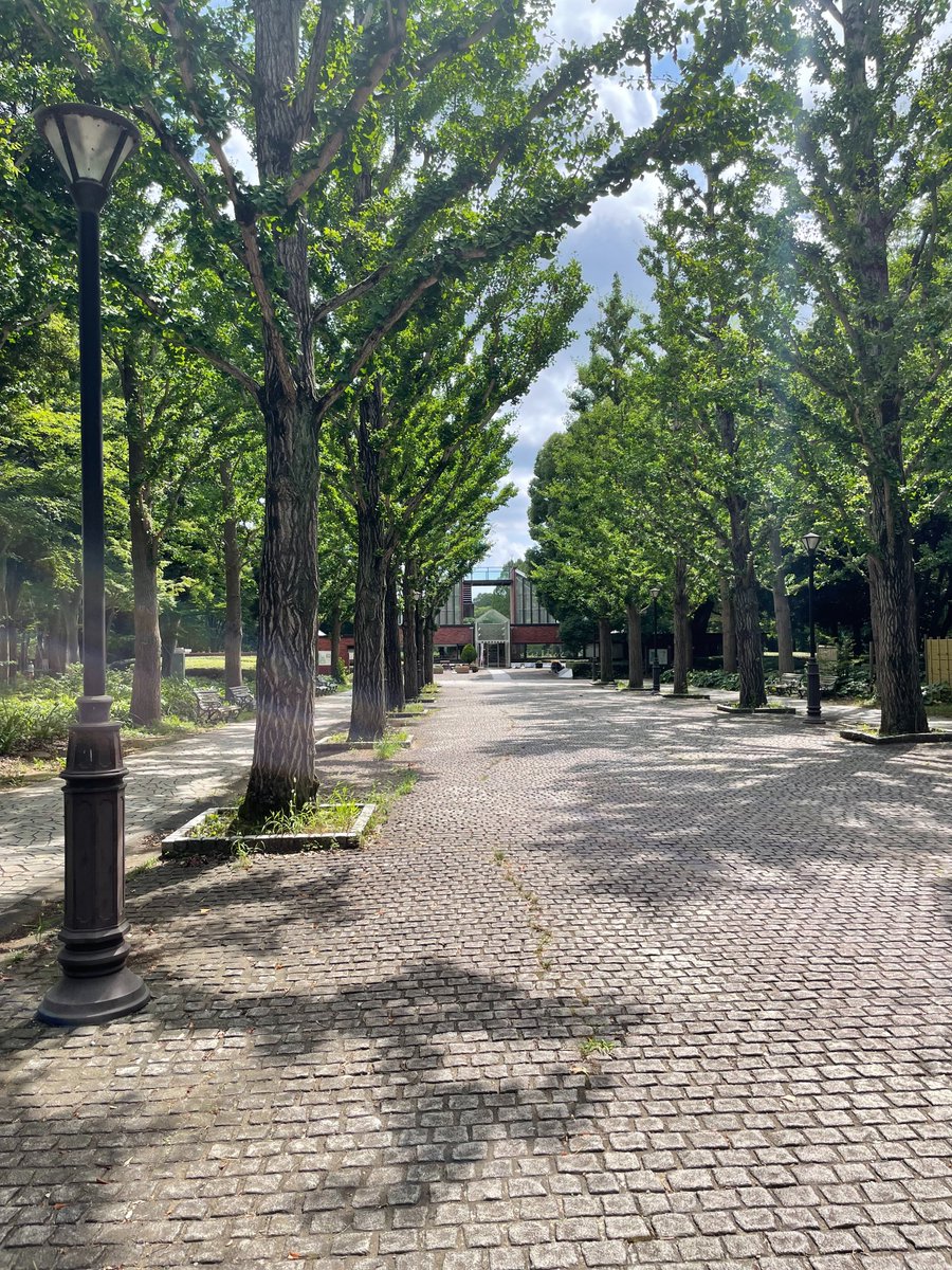 y_kibe's tweet photo. 時間のない中、1週間に一回ぐらいはエンジンかけとかないとと思い、近場の洞峰公園まで
#w230 #バイク #ツーリング https://t.co/XwyD4SBP6b