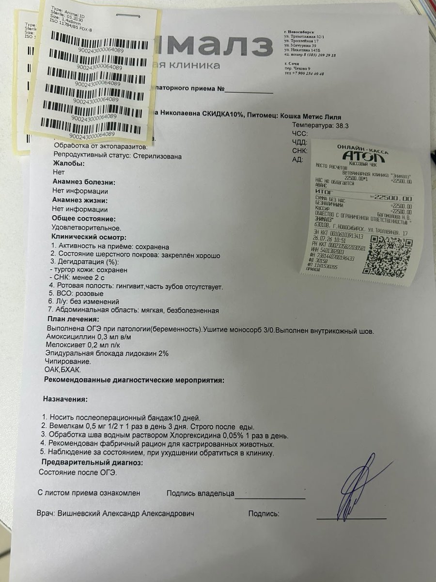 KoshacheZarstvo's tweet photo. Осталось стерилизовать 21
Ужас. https://t.co/eQB0pVpQlO