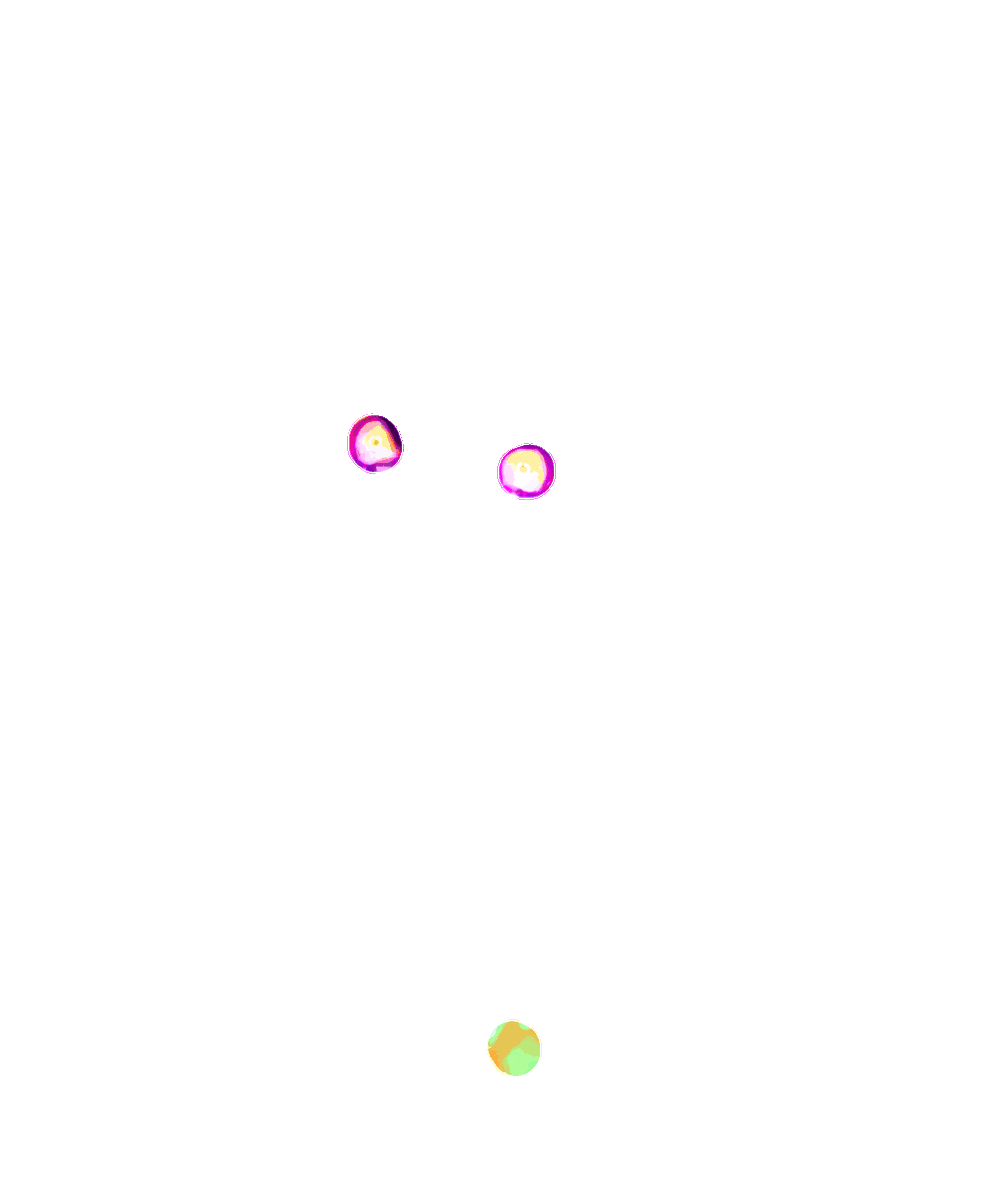 ira 🍄💫🌈 tweet media