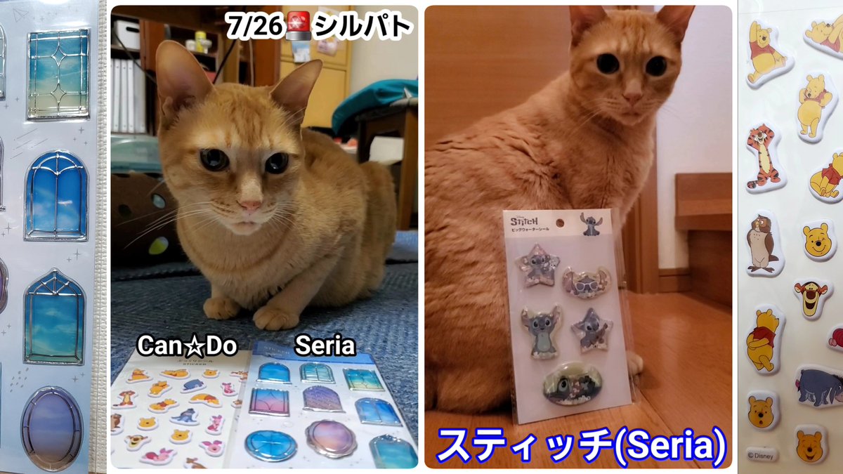 Kijinyan441's tweet photo. 7/26 シルパトと猫

https://t.co/uRg5C0RdVa

 #YouTube
 #猫
 #シルパト
 #プーさん
 #スティッチ https://t.co/IyeENWnZhR