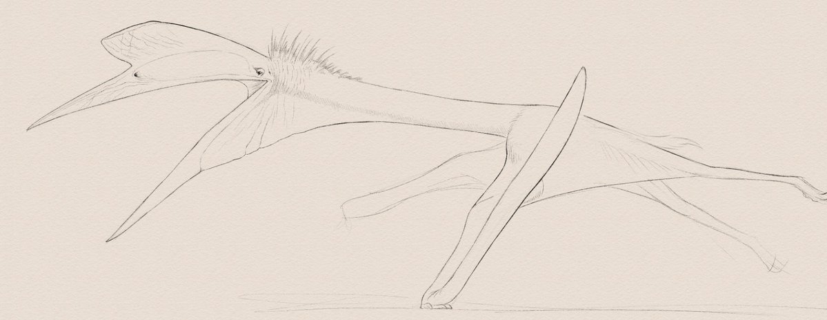 RizkiusMaulanae's tweet photo. Galloping giraffe bat bird thingy https://t.co/uJhb9HFUot