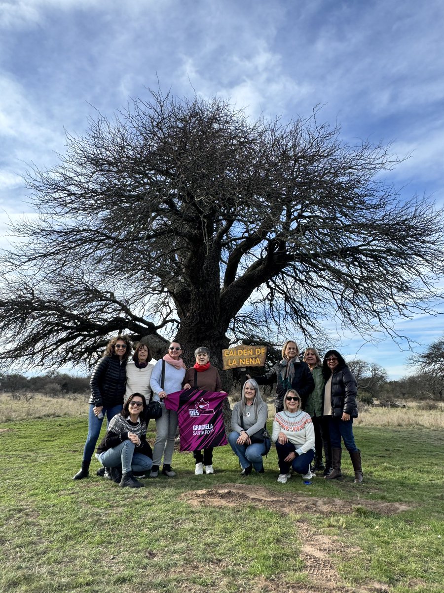 AIREdeTURISMO's tweet photo. Caldén de la Nena en invierno. Reserva Natural Provincial Parque Luro. #RN35 #LaPampa https://t.co/XAXNtNXJ4t