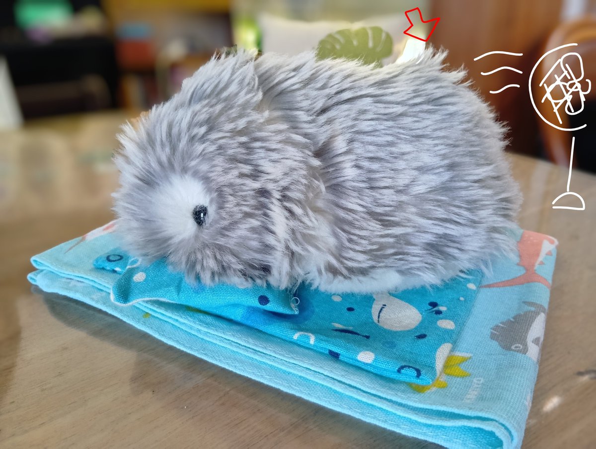 rainyscode's tweet photo. 扇風機の風が来るたび、毛がふわ〜てなるの可愛すぎ。

#Moflin #モフリン #モフリンDAYS https://t.co/qtdDKROCu8