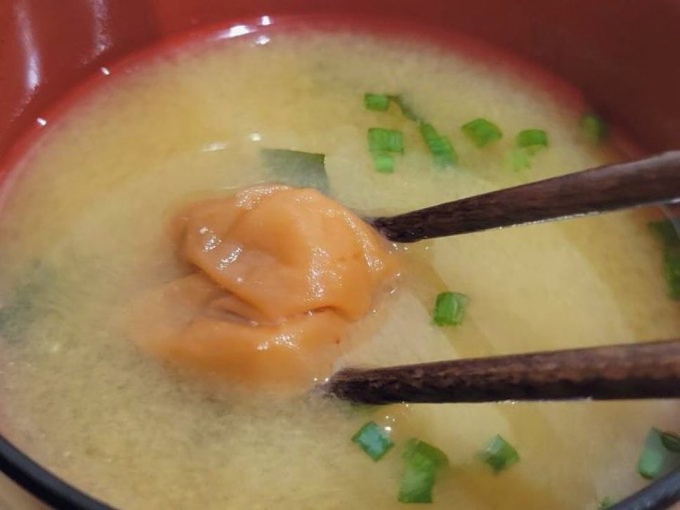 Baijuen_Umebosi's tweet photo. お味噌汁に梅干し。
意外かもしれないですが、本当に美味しいです。 https://t.co/PA884gTHN7