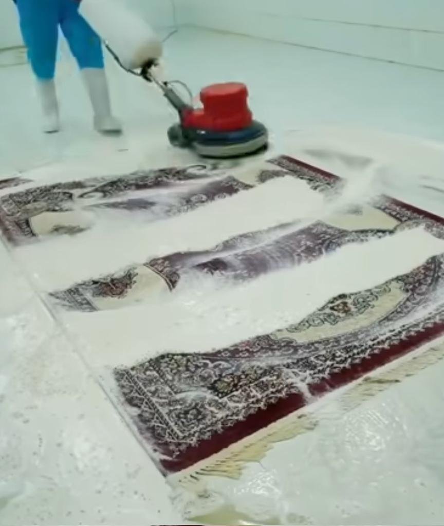 gloccnim's tweet photo. No one:

Me watching carpet cleaning videos at 2am: https://t.co/LNV971TgxE