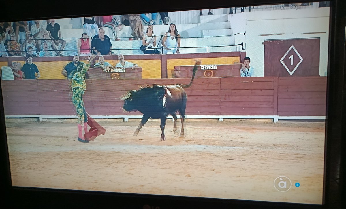 GarciaAV's tweet photo. Toros!!!!!! Esto es en serio?!?!? No tenéis vergüenza @apunt_media @apuntnoticies #IFLaVallDUixó https://t.co/4Pqs5nuzRQ