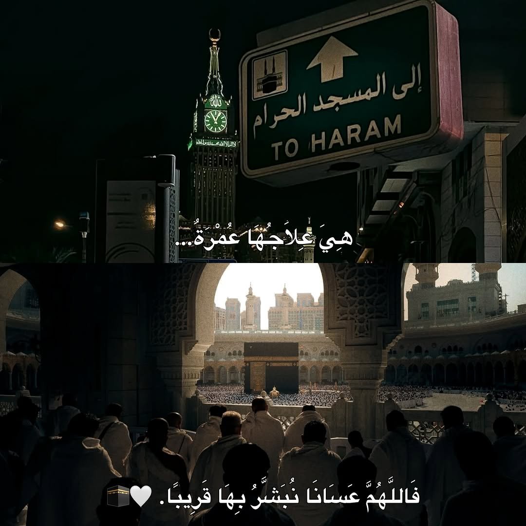 وذكر tweet media