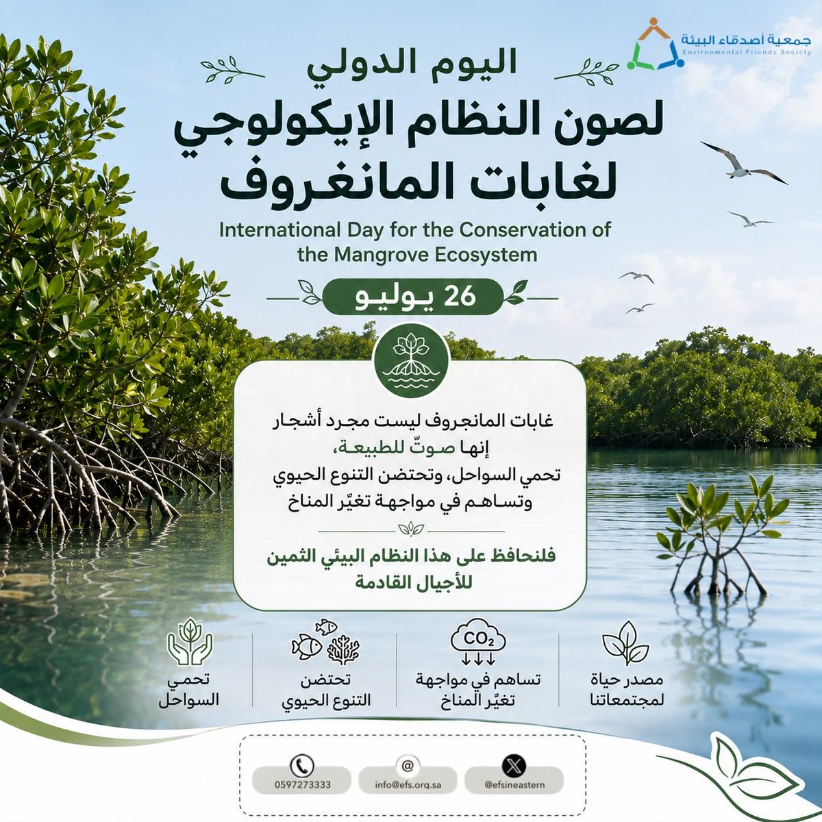 efsineastern's tweet photo. في #اليوم_الدولي_لصون_النظام_الإيكولوجي_لغابات_المانغروف

#المانغروف ليس مجرد شجرة ساحية  بل هي نظام بيئي حيّ
_يحمي الشواطئ
_يحتضن التنوع الأحيائي
 _يمتص الكربون
_يمثل خط دفاع طبيعي لمجتمعاتنا الساحلية

ومن إيماننا بأن حماية البيئة تبدأ من الوعي وتمتد إلى العمل 
تواصل #جمعية_اصدقاء_البيئة  جهودها في دعم وحماية غابات المانغروف وتعزيز الوعي بأهميتها والمشاركة في مبادرات زراعتها واستدامتها.

 كل شجرة #مانغروف نزرعها اليوم… 

هي حماية لساحل، وموطن لكائن، واستثمار في مستقبل أكثر استدامة.

#اليوم_العالمي_لصون_النظام_الإيكولوجي_لغابات_المانغروف
#جمعية_أصدقاء_البيئة
#المانغروف_ثروة_بيئية 
@MEWA_KSA 
@ncvcksa