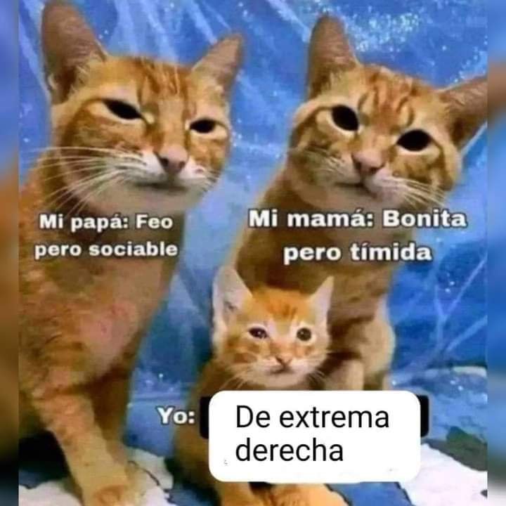 Señor exprópiese tweet media