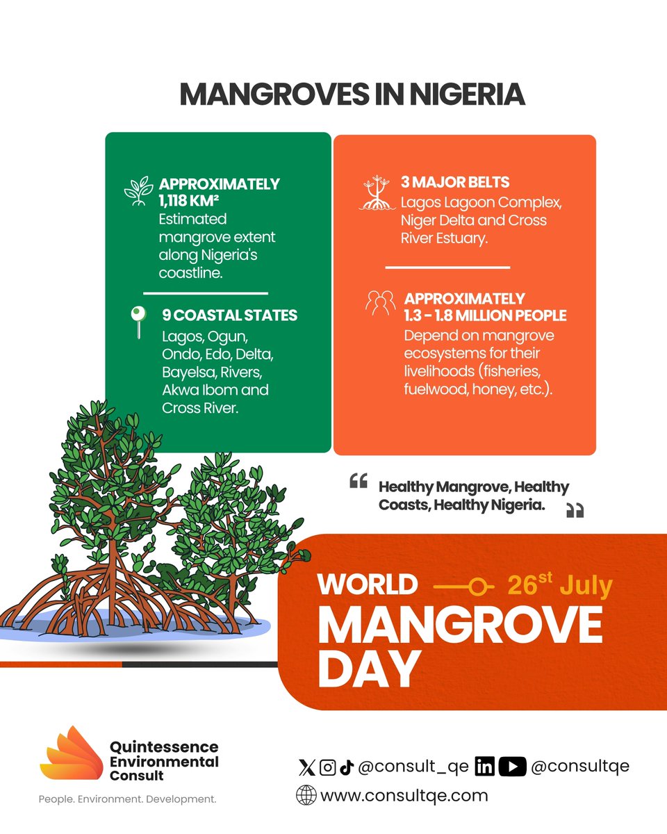 consult_qe's tweet photo. World Mangrove Day 🌱

Nigeria is home to one of Africa's most valuable natural ecosystems, yet it continues to disappear before our eyes. 

What makes these forests so important, and why should every Nigerian care? 

The answers may surprise you. 

Swipe through the slides and discover the remarkable story of our mangroves.

@ncfnigeria  @FMEnvng @NOSDRANIGERIA @NDDCOnline @NESREANigeria 

#WorldMangroveDay #ClimateAction #ProtectNature #Sustainability #MangroveConservation