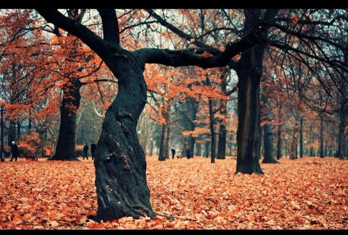 MariaBalochPK's tweet photo. لوگ کہتے ہیں آخر تم نے ابھی دیکھا ہی کیا ہے...؟ 🤔
میں نے دیکھا ہے لوگ کیسے دوسروں کے گھر...! 🏚️
اجاڑتے ہیں، میں نے دیکھا ہے دوسروں کو زمانے میں..! 🌍
بدنام کیسے کیا جاتا ہے، میں نے دیکھا ہے مان کیسے...! 🥺
ٹوٹتے ہیں، میں نے دیکھا ہے الزام کیسے لگائے جاتے...! 🚫
ہیں، میں نے دیکھی ہیں، رشتوں کی منافقت...! 🎭
میں نے دیکھی ہیں دوستوں کی منافقت...! 👥
میں نے دیکھا ہے ٹوٹ کر کیسے سنبھلا جاتا ہے...! 💪
میں نے دیکھا ہے کیسے ایک غلطی پر آپ کا خلوص...! 💔
آپ کے منہ پر مار دیا جاتا ہے، میں نے دیکھا ہے...! 🌬️
ہر ایک کی چالاکیاں، میں نے دیکھا ہے کیسے دولت کے...! ����
نشے میں رشتے توڑے جاتے ہیں، اور یہ بھی میں نے دیکھا ہے..! 🔗
کیسے دوسروں کا حق کھایا جاتا ہے، پھر یہ لوگ کہتے ہیں.. دل میں نہ لینا تم نے ابھی دیکھا ہی کیا ہے...۔ 🥀