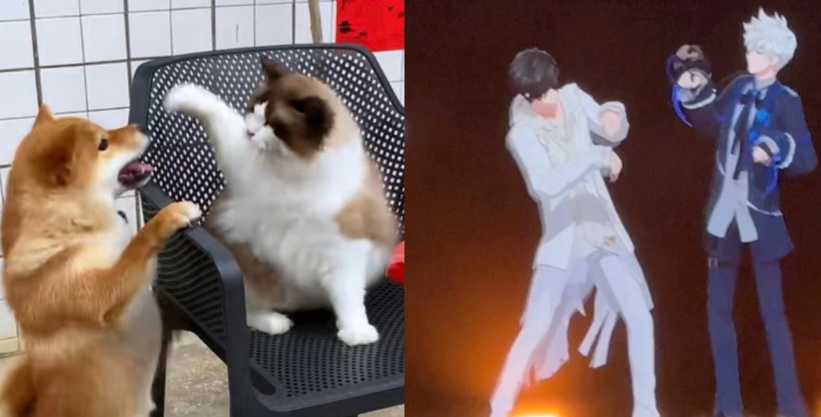 qhqfeihuo's tweet photo. I see no difference https://t.co/EgMGjP2brM