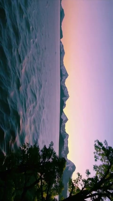 manmeetdinosaur's tweet photo. Let soft thoughts guide https://t.co/wkify0WO18